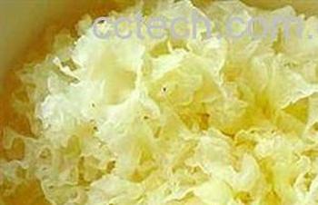 果蔬百科吃白木耳减肥-0