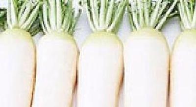 果蔬百科罗卜的营养价值与做法-0