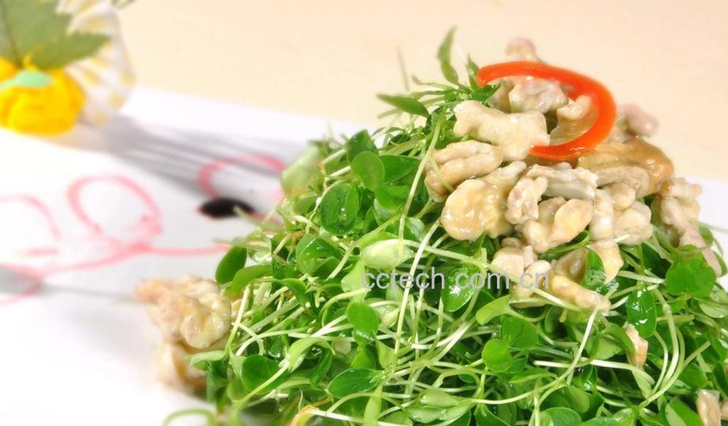 果蔬百科香椿的图片和作用-0