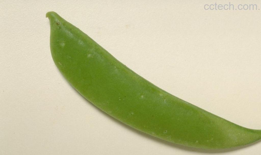 果蔬百科豌豆苗的营养价值和吃法-0