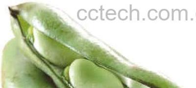 果蔬百科蚕豆冷冻方法-0