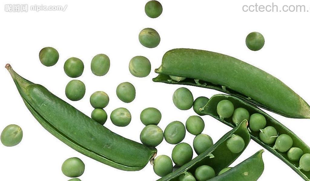 果蔬百科豌豆的药用-0