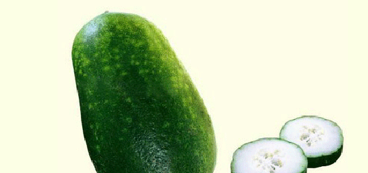 果蔬百科什么丝瓜品种最好-0