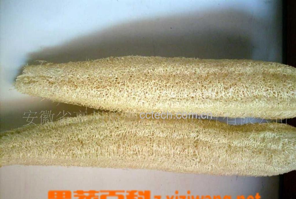 果蔬百科丝瓜络可以洗脸吗-0