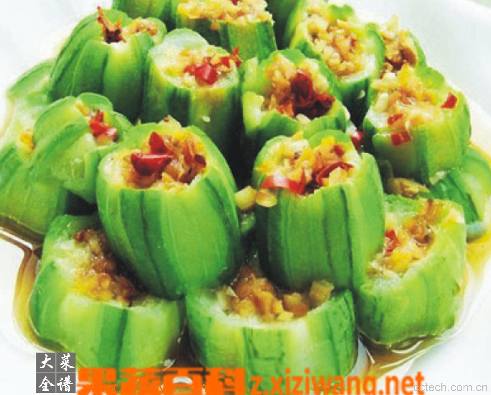 果蔬百科丝瓜的各种病害-0