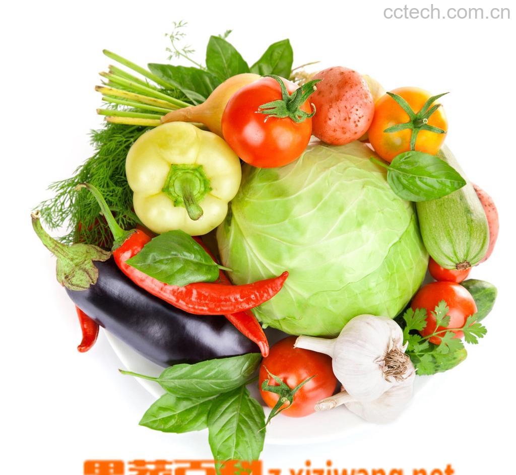果蔬百科蔬菜的功效-0