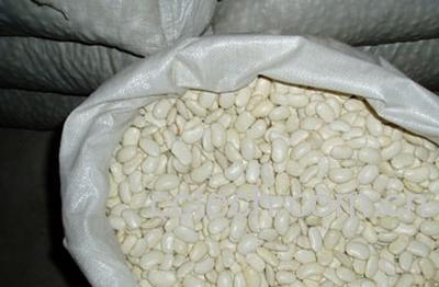 果蔬百科白芸豆营养价值-0