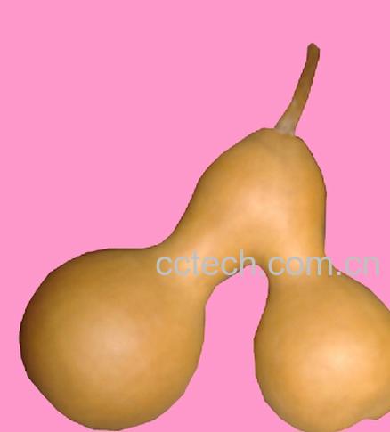 果蔬百科大葫芦品种-0