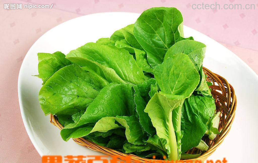 果蔬百科小青菜营养价值-0