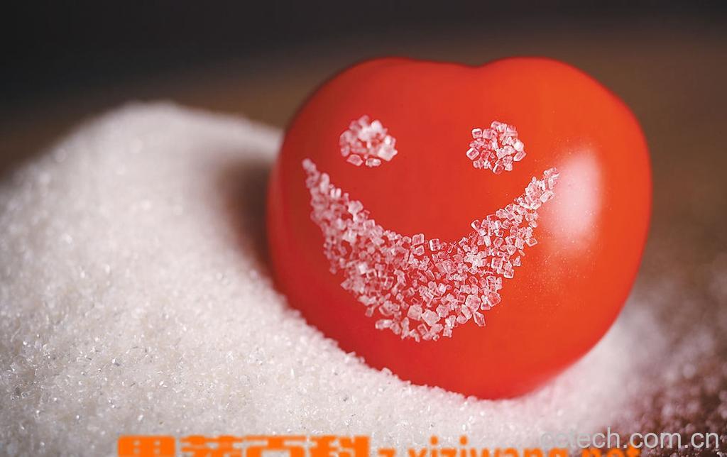 果蔬百科西红柿露天种植技术-0