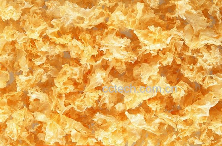 果蔬百科雪耳-0