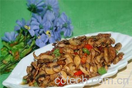 果蔬百科平菇的药用-0