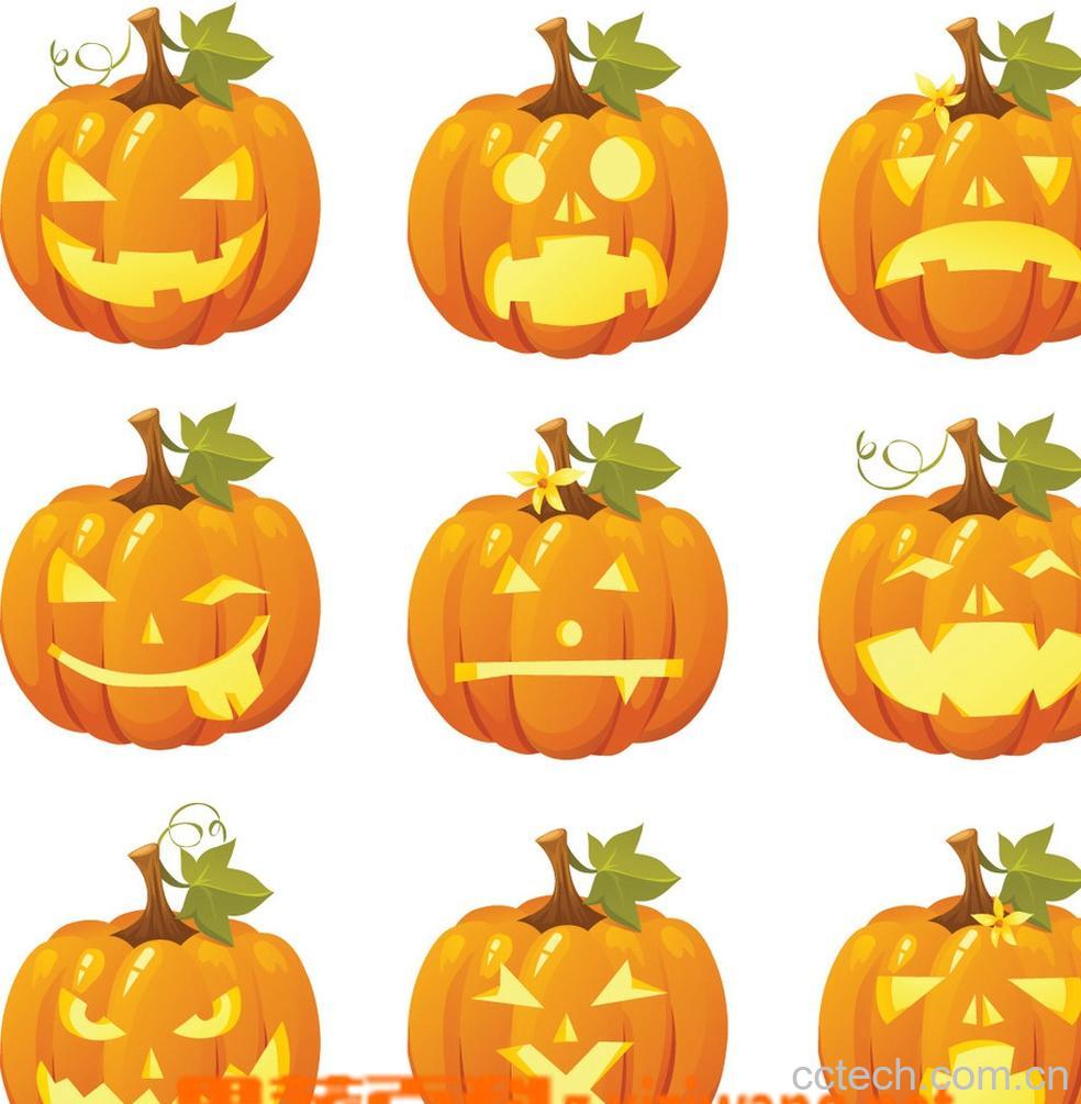 果蔬百科南瓜种植技术图片-0