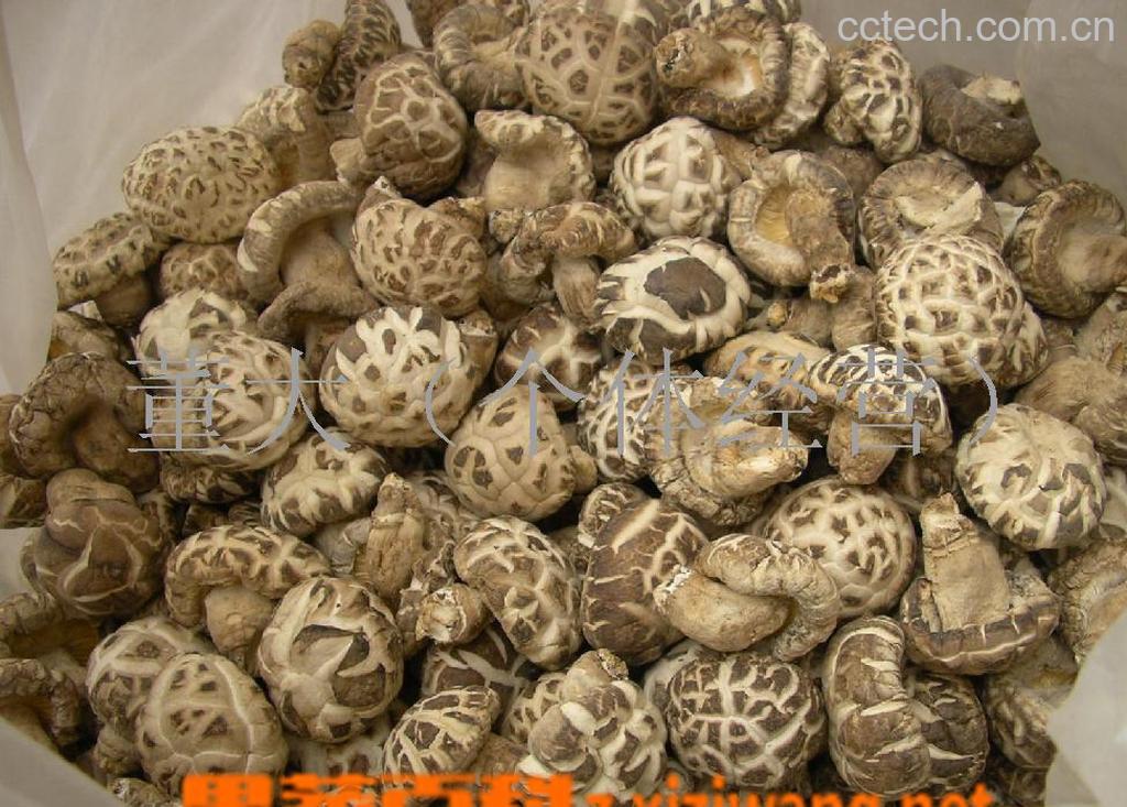 果蔬百科干香菇的功效和作用-0