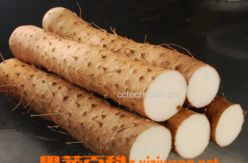 果蔬百科山药发芽还能吃吗-0