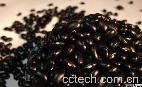 果蔬百科黑芸豆的营养价值-0