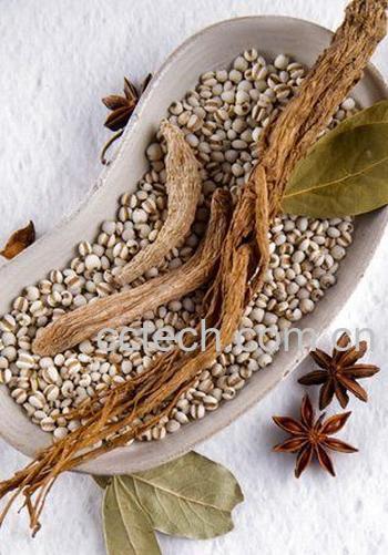 果蔬百科果蔬人参胡罗卜图片-0