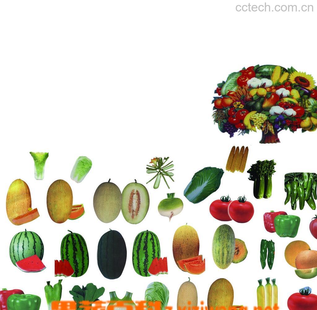 果蔬百科果菜类蔬菜-0