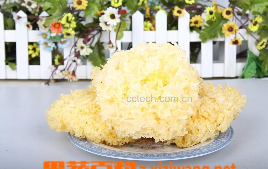 果蔬百科怎样吃银耳-0