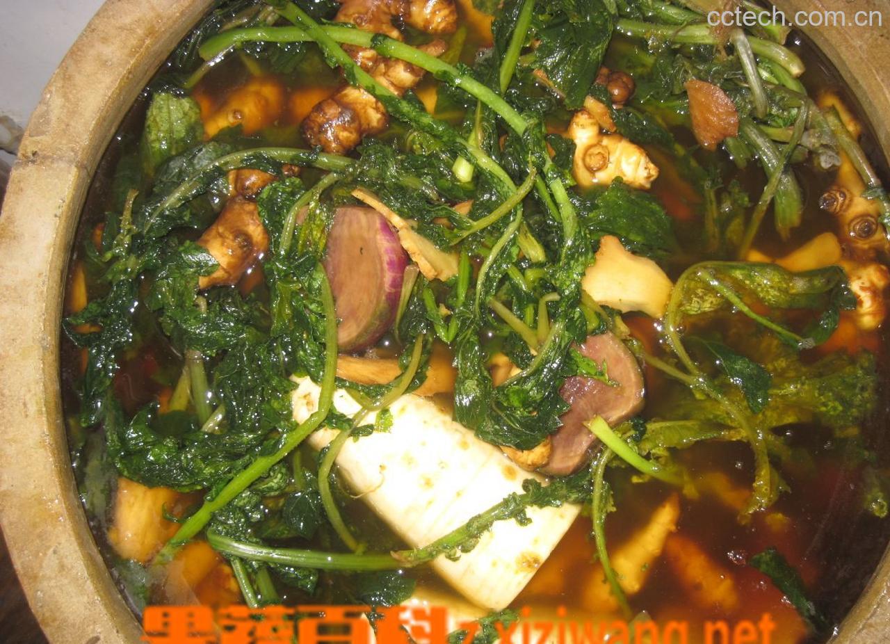 果蔬百科怎么腌制水萝卜-0