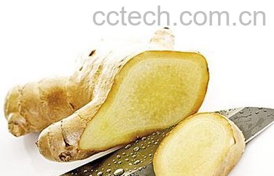 果蔬百科萝卜和姜的营养价值-0