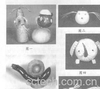 果蔬百科果蔬世界-0