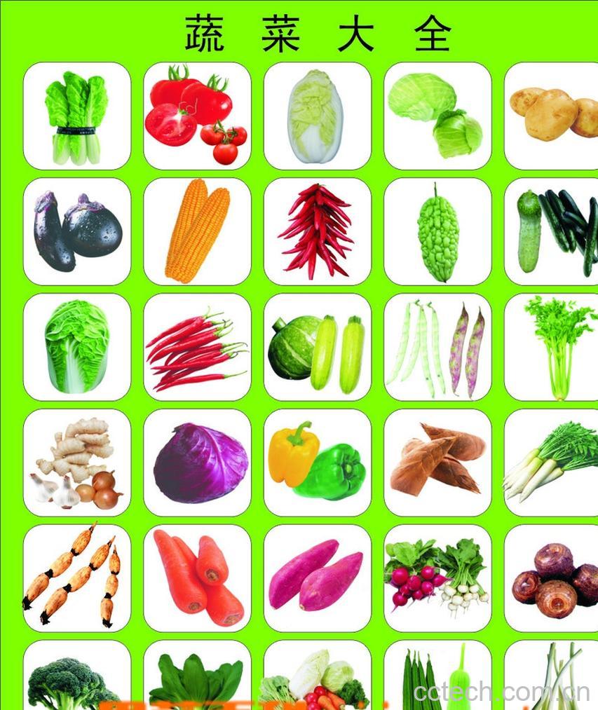 果蔬百科世界蔬菜种类大全-0