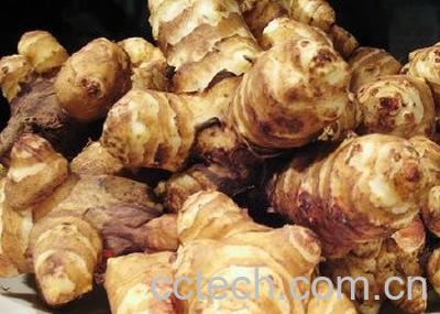 果蔬百科家庭怎么腌制洋姜-0