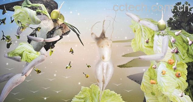 果蔬百科果蔬制作图-0