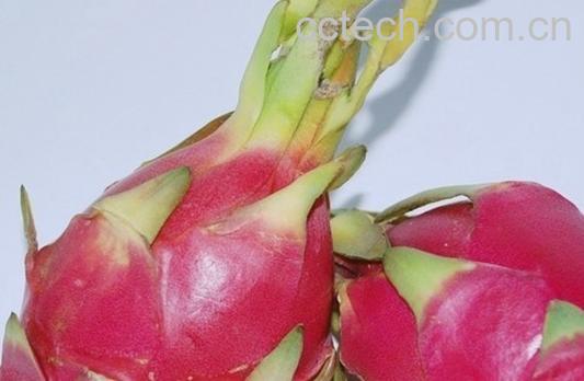 果蔬百科火龙果怎么吃才减肥-0