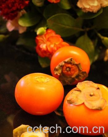 果蔬百科什么人不能吃柿子-0