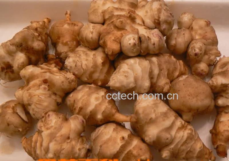 果蔬百科家庭如何腌制洋姜-0