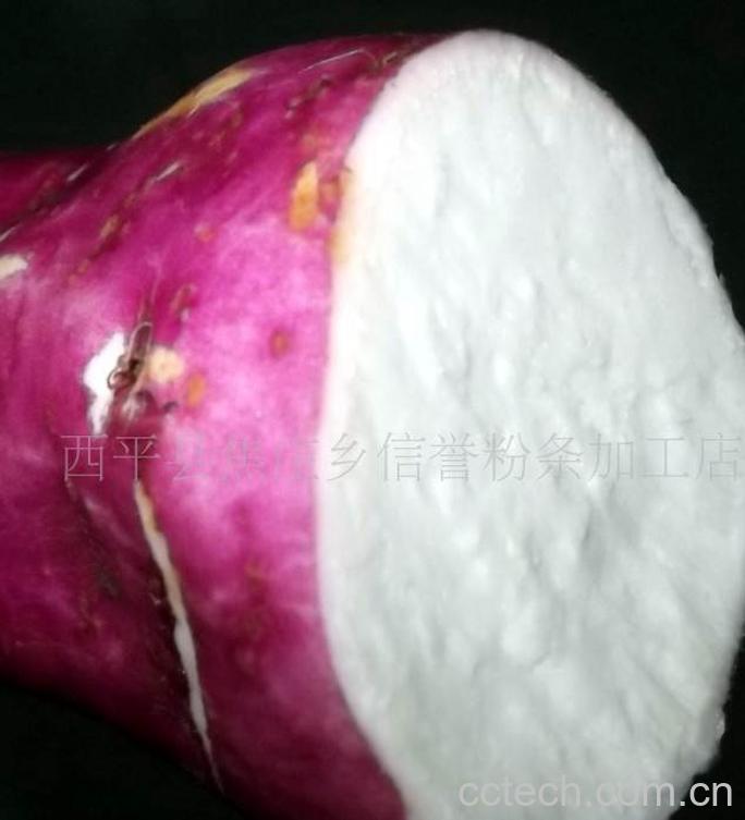 果蔬百科白薯的营养价值-0