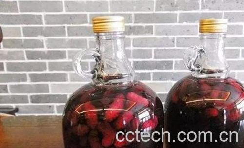 桑果泡酒喝的功效作用 喝桑果泡酒的好处-0