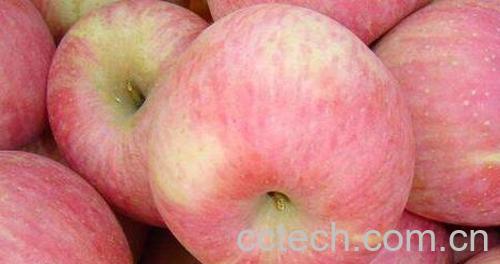 苹果减肥的正确方法 苹果怎么吃减肥-1