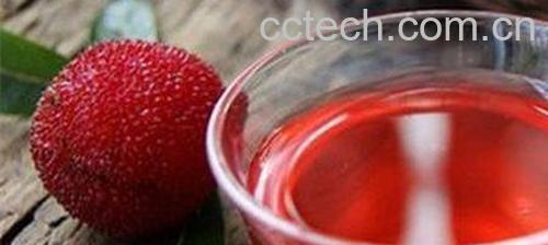 杨梅泡酒的功效与作用 喝杨梅泡酒的好处-1