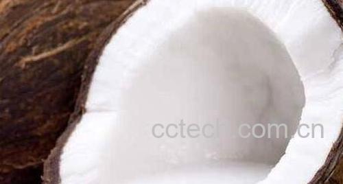 椰子肉怎么吃 椰子肉的食用方法教程-0