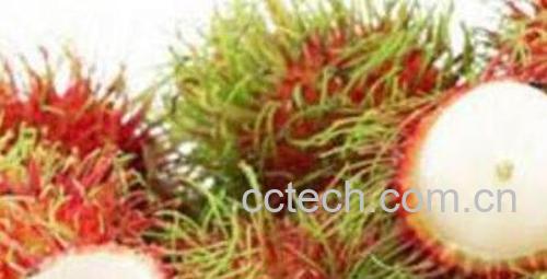 红毛丹怎么吃 红毛丹的家常食用方法-0