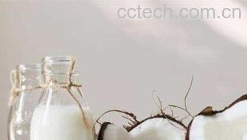 椰子汁的功效与作用 椰子汁的禁忌-0