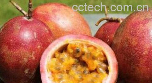 百香果怎么吃好 百香果的正确食用方法-0