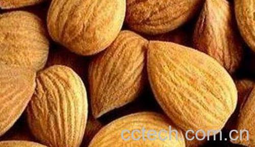 生甜杏仁的功效与作用 吃生甜杏仁的好处有哪些-0