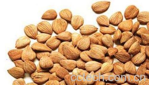 生苦杏仁的功效与作用-0