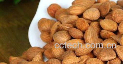 生苦杏仁的功效与作用-1