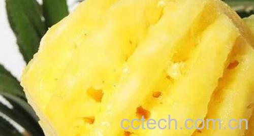 香水菠萝怎么削皮 香水菠萝怎么切-1