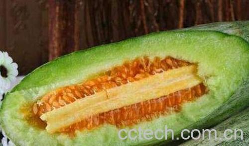 羊角脆怎么吃 羊角脆的食用方法-0