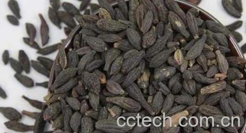 青果干怎么吃最好 青果干的食用方法-0