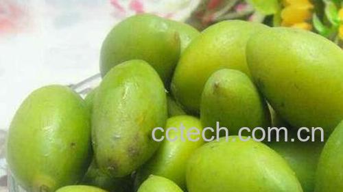 青果泡水的功效与作用 青果泡水怎么泡-1