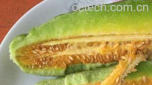 羊角脆的功效与作用-0