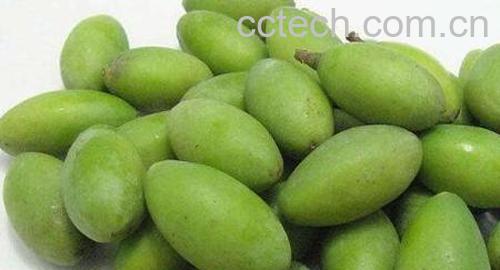 青橄榄泡水的功效与作用-1