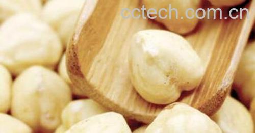 熟榛子仁的功效与作用 熟榛子仁怎么识别好坏-0